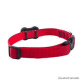 Health & Fitness Tracker for Dogs