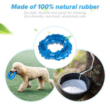 Indestructible Dog Chew - Blue