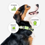 Ultimate Health & Location Tracker for Pets - Green