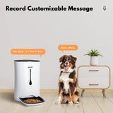 Automatic Pet Feeder