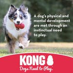 Kong Flying Disc - Large