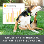 Ultimate Health & Location Tracker for Pets - Grey